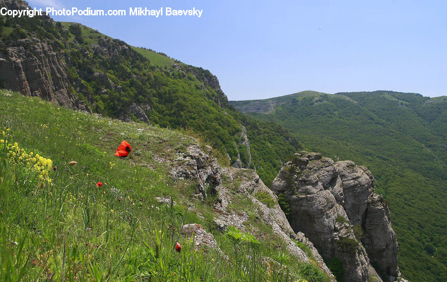 Crest, Mountain, Outdoors, Peak, Wilderness, Blossom, Flora