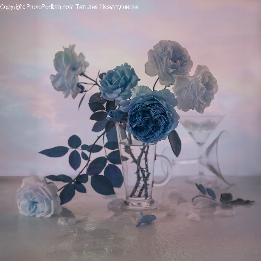 Floral Design, Graphics, Art, Pattern, Flower