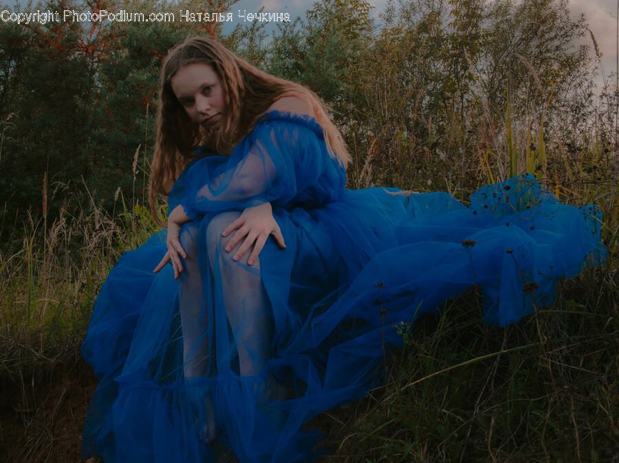 Clothing, Apparel, Fashion, Costume, Evening Dress