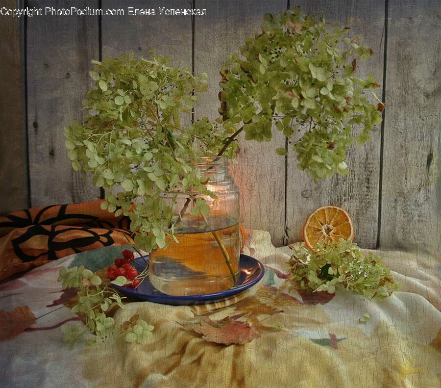 Plant, Tree, Furniture, Jar, Painting