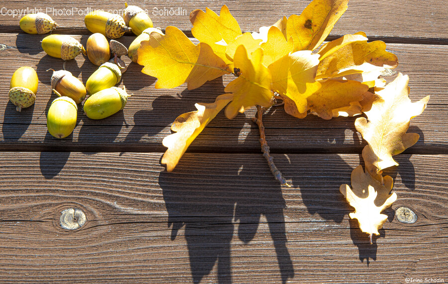 Leaf, Plant, Egg, Food, Produce
