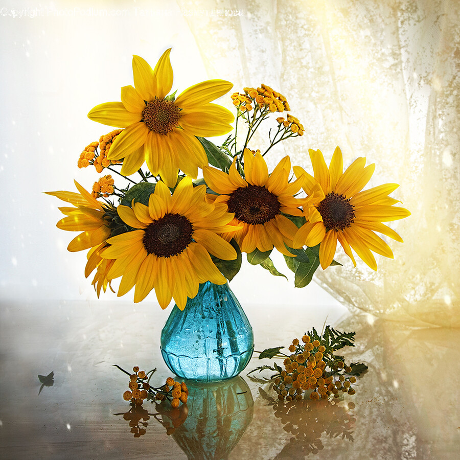 Plant, Flower, Blossom, Flower Bouquet, Flower Arrangement