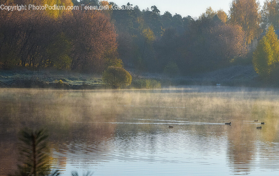 Nature, Outdoors, Water, Weather, Fog