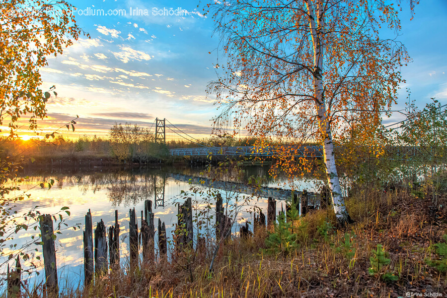 Land, Nature, Outdoors, Water, Tree