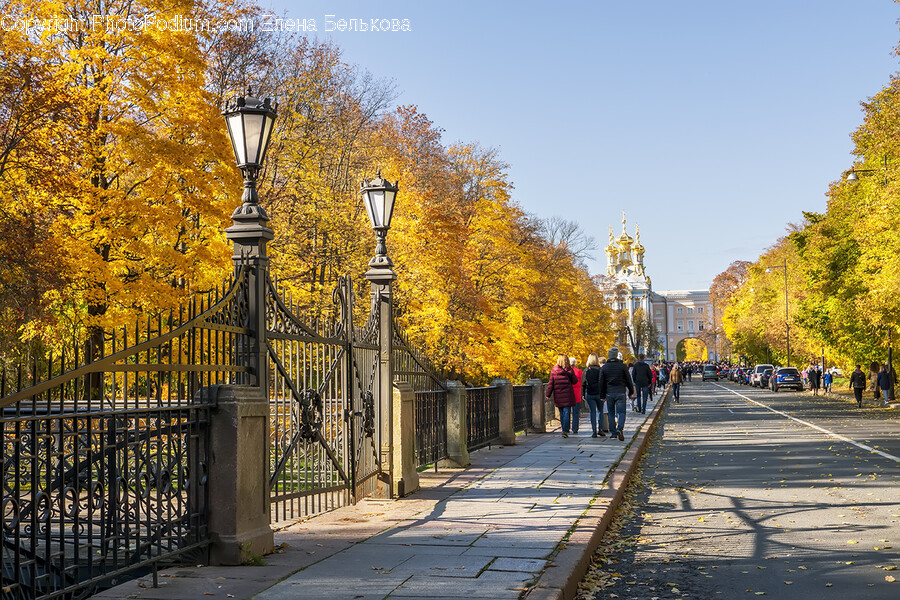 Person, Human, Path, Flagstone, Walkway
