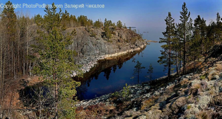 Nature, Outdoors, Water, Tree, Plant