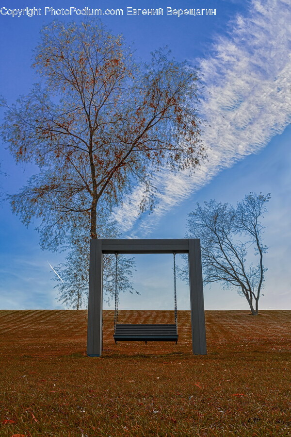 Furniture, Tree, Plant, Outdoors, Nature