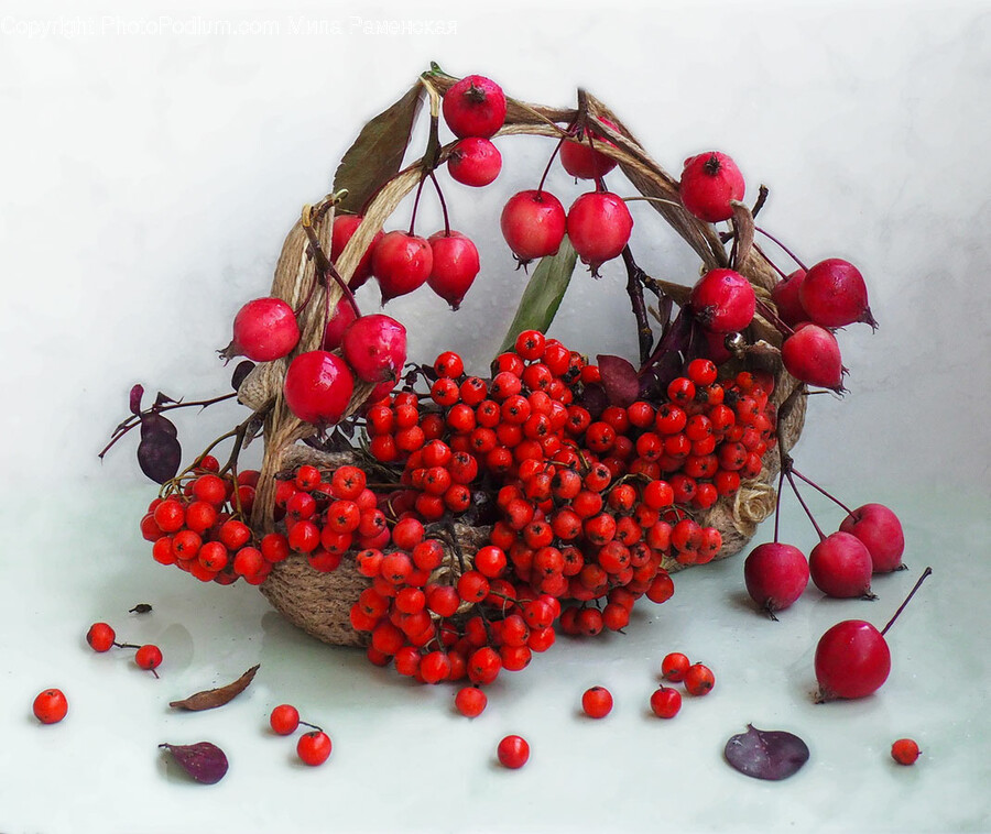 Plant, Fruit, Food, Cherry, Birthday Cake