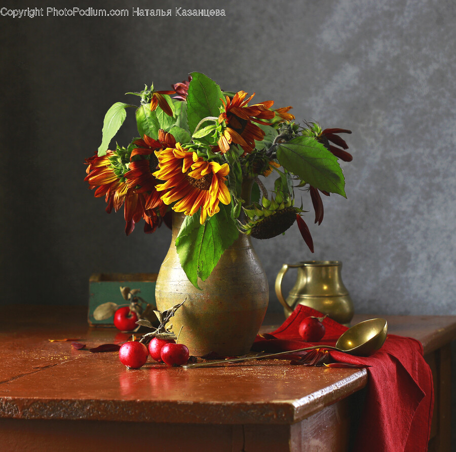 Plant, Flower, Blossom, Flower Arrangement, Flower Bouquet