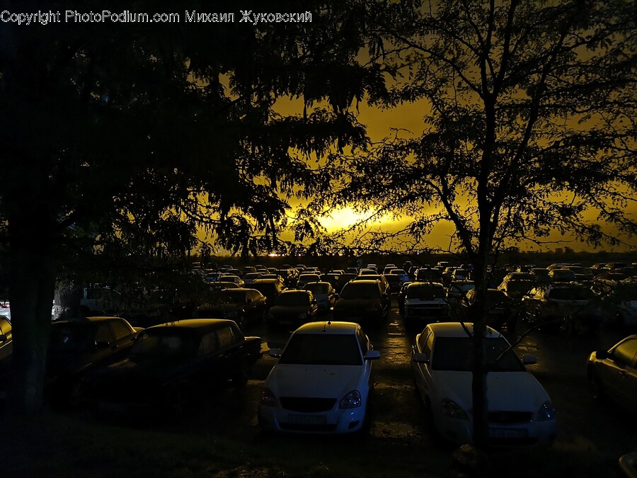 Car, Automobile, Vehicle, Transportation, Parking Lot