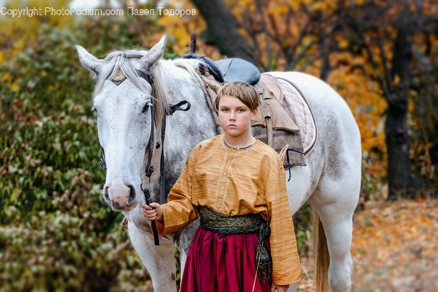 Horse, Mammal, Animal, Person, Human