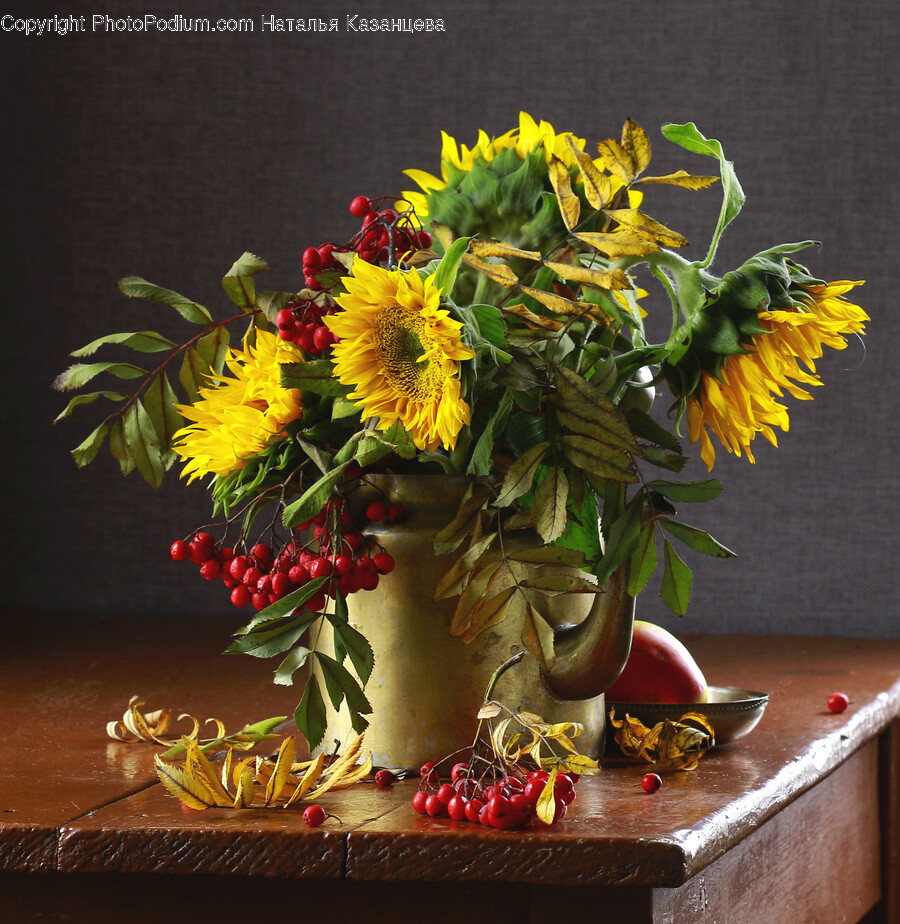 Plant, Flower, Blossom, Flower Arrangement, Flower Bouquet