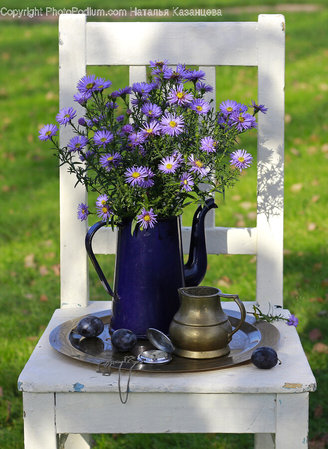 Plant, Flower, Blossom, Flower Arrangement, Flower Bouquet