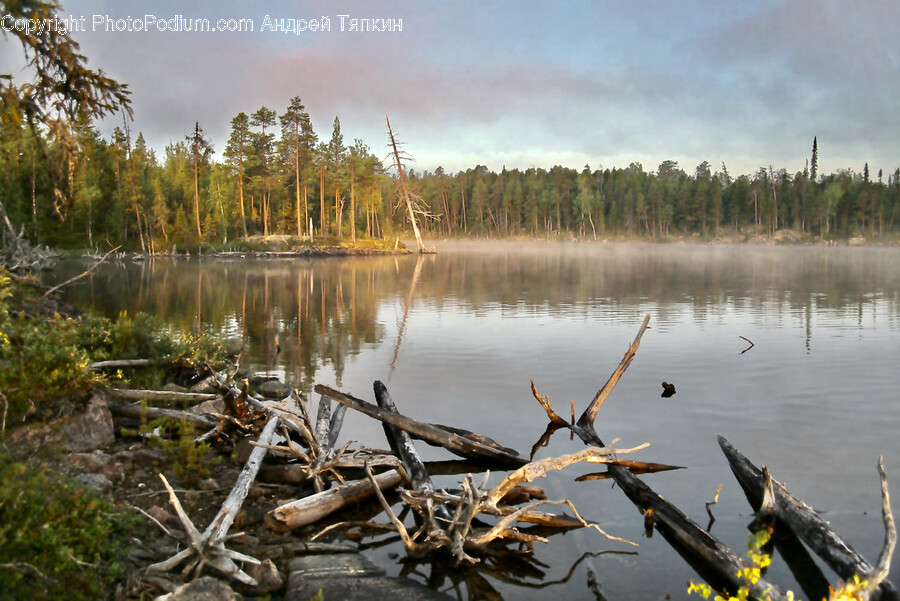 Wood, Water, Nature, Outdoors, Land
