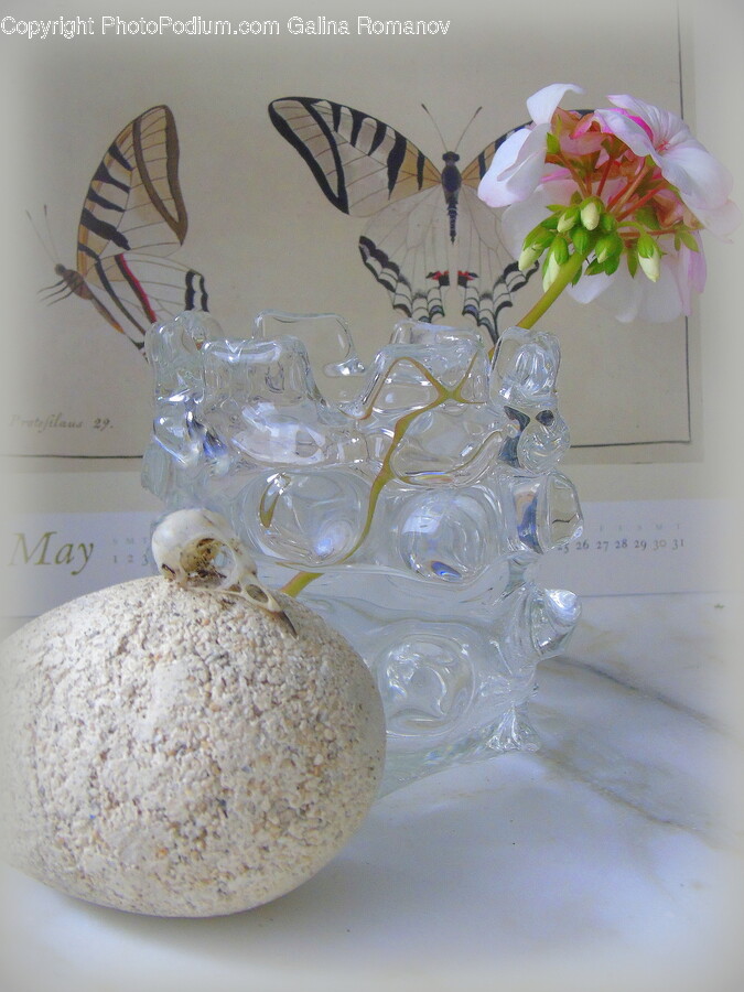 Glass, Sweets, Food, Confectionery, Jar