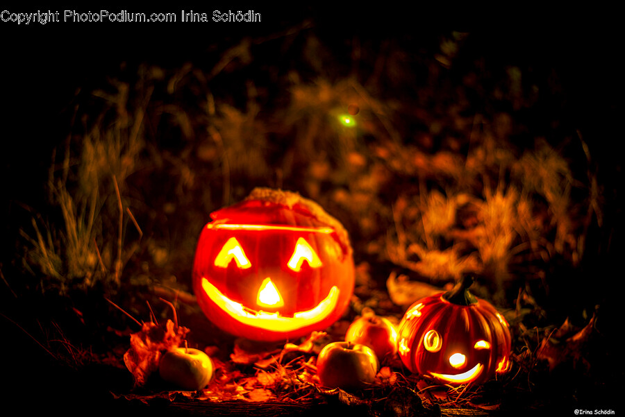 Plant, Candle, Pumpkin, Food, Vegetable
