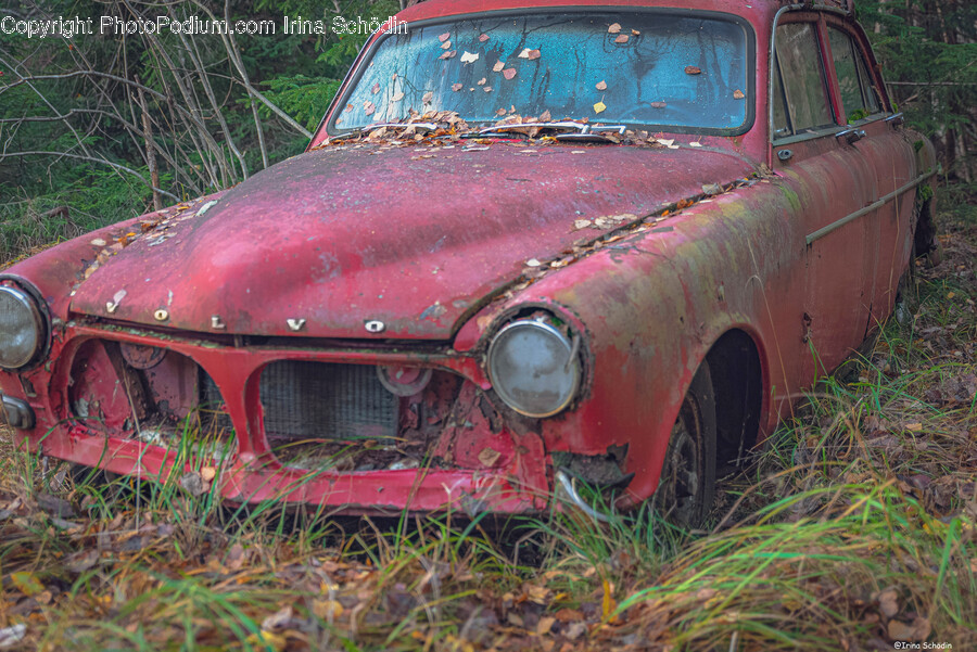 Rust, Car, Transportation, Vehicle, Automobile