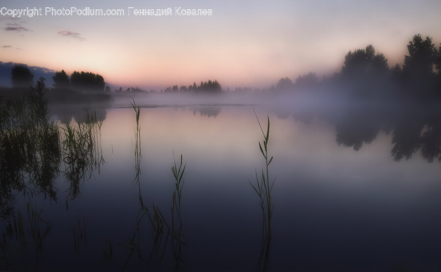 Nature, Outdoors, Weather, Water, Fog