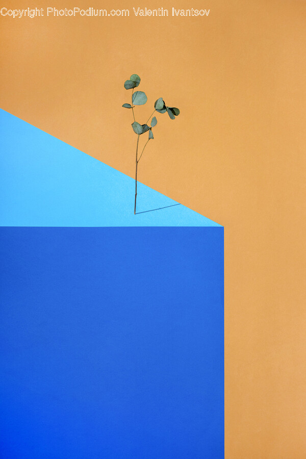 Bird, Animal, Triangle, Art, Outdoors