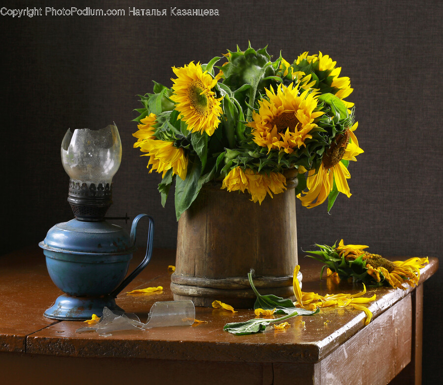 Plant, Flower, Blossom, Flower Bouquet, Flower Arrangement