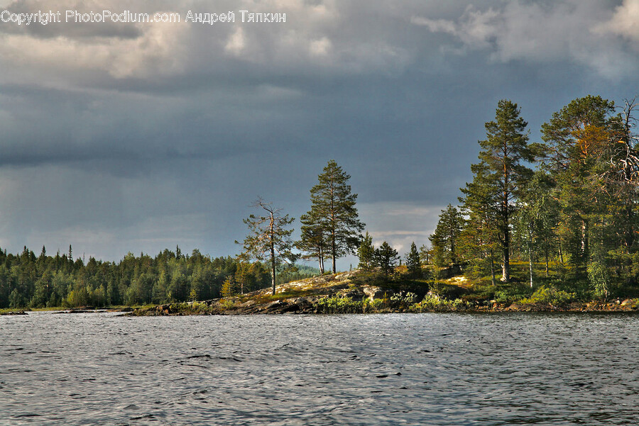 Land, Nature, Outdoors, Shoreline, Water