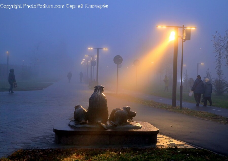 Person, Human, Nature, Water, Fog