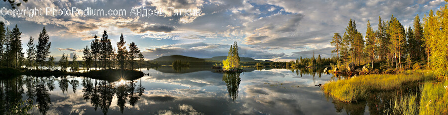 Water, Tree, Plant, Outdoors, Nature