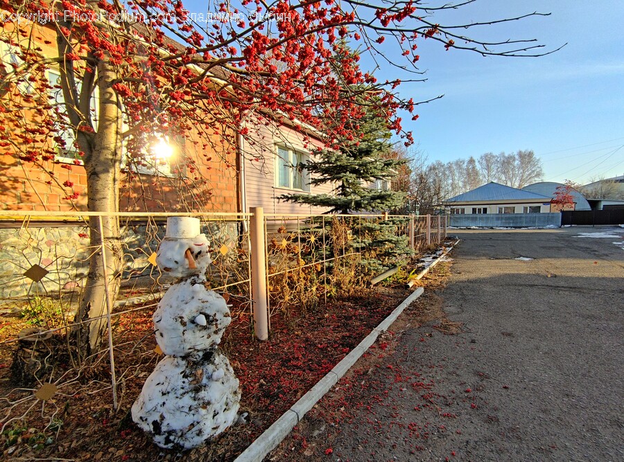 Tree, Plant, Outdoors, Nature, Hydrant
