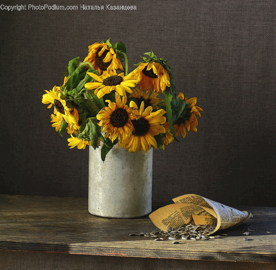Plant, Flower, Blossom, Flower Arrangement, Flower Bouquet