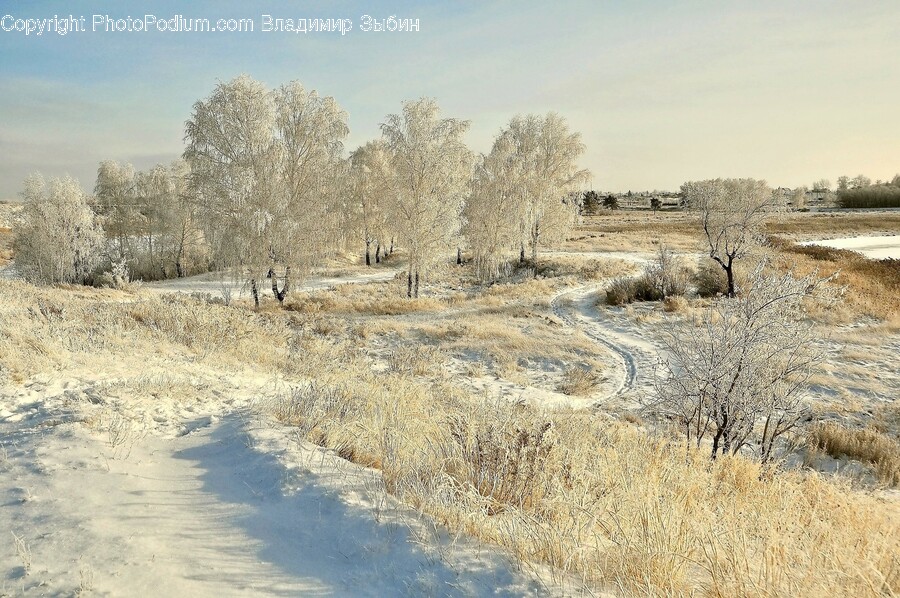 Ice, Nature, Outdoors, Frost, Snow