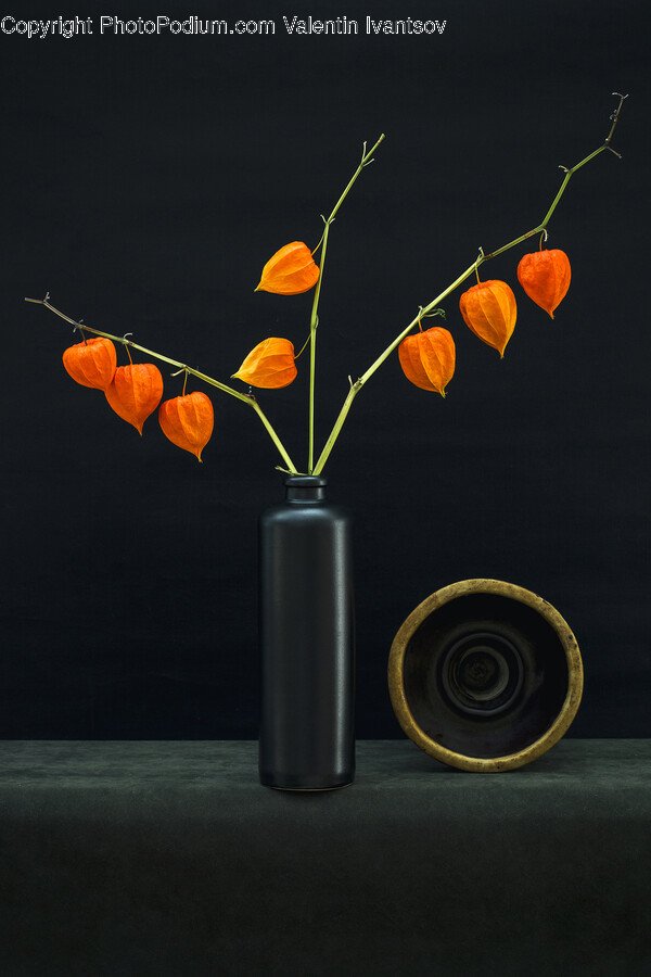 Leaf, Plant, Vase, Jar, Pottery