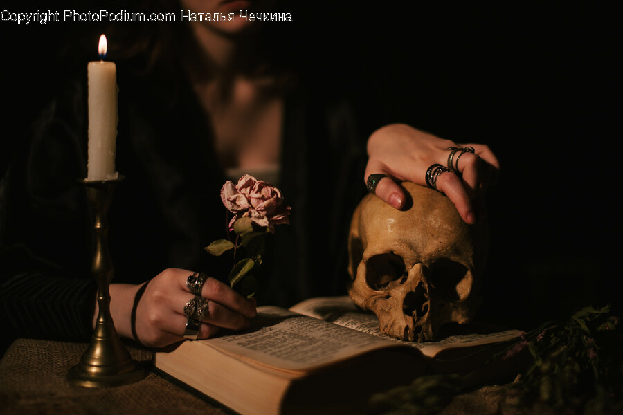 Candle, Finger, Person, Human, Dog