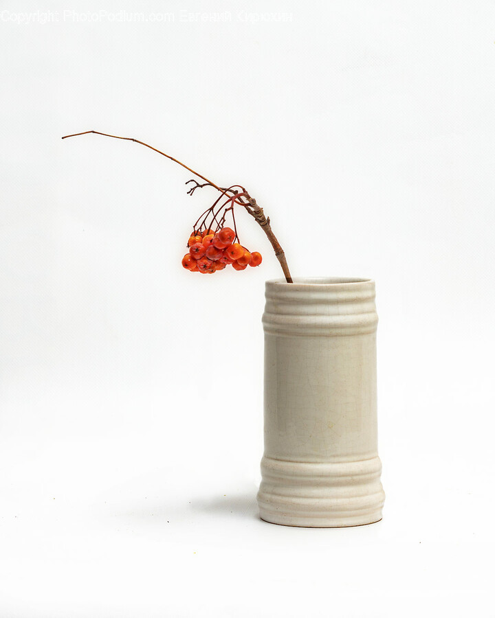 Jar, Vase, Pottery, Potted Plant, Plant
