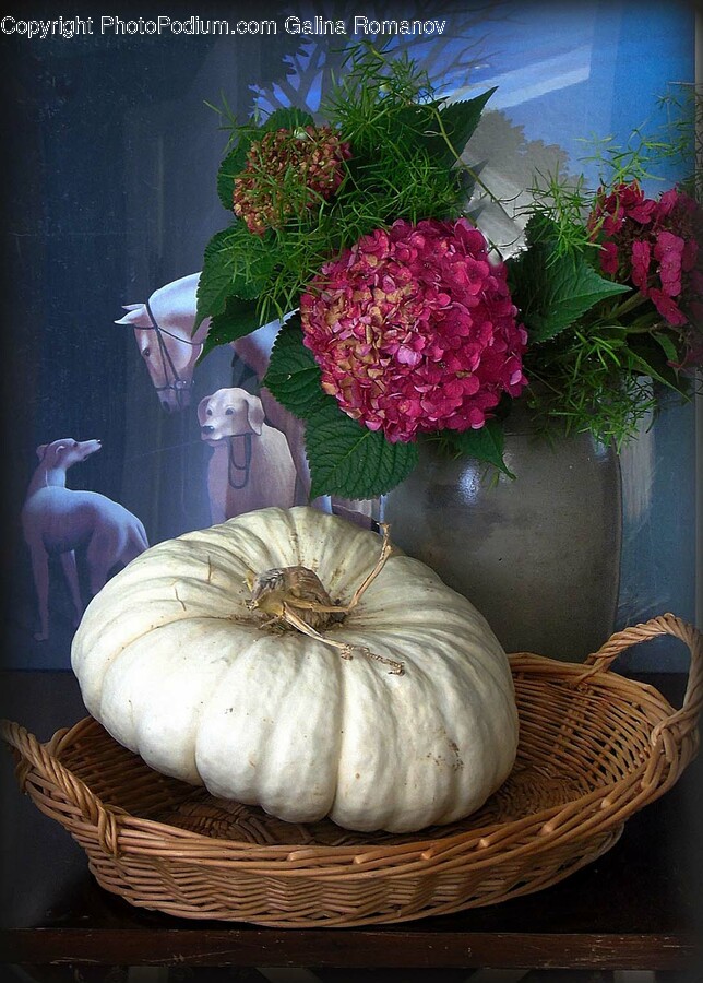 Plant, Flower, Blossom, Flower Bouquet, Flower Arrangement
