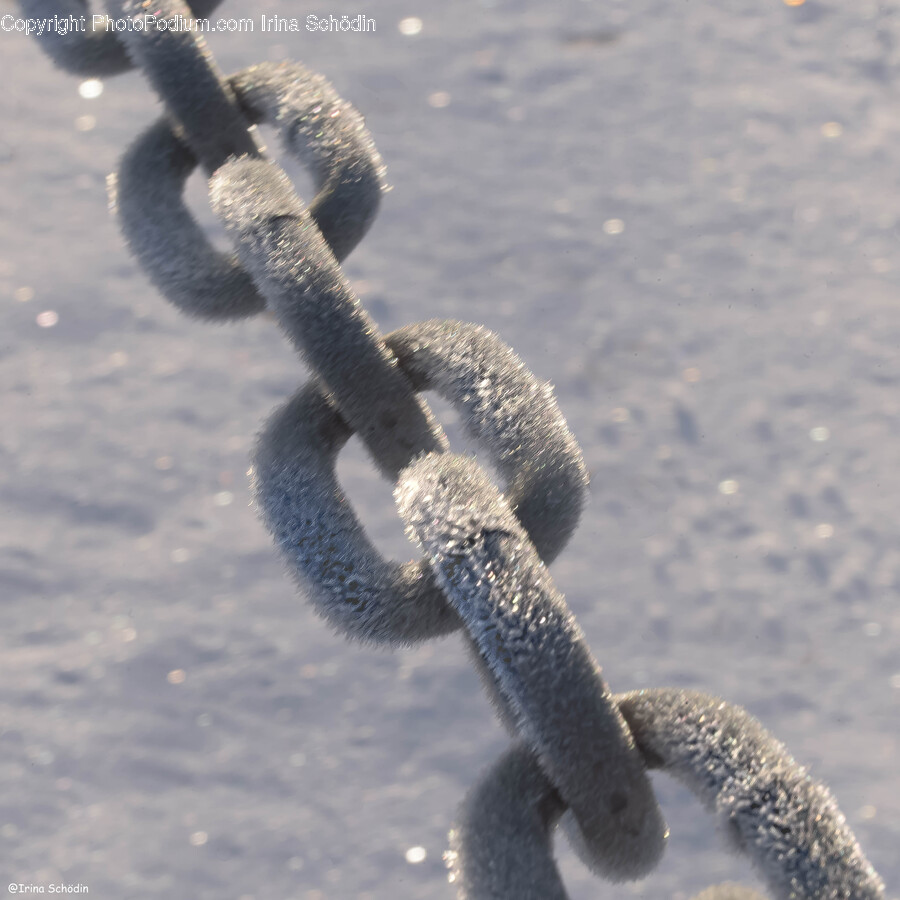 Chain, Flare, Light, Snake, Animal