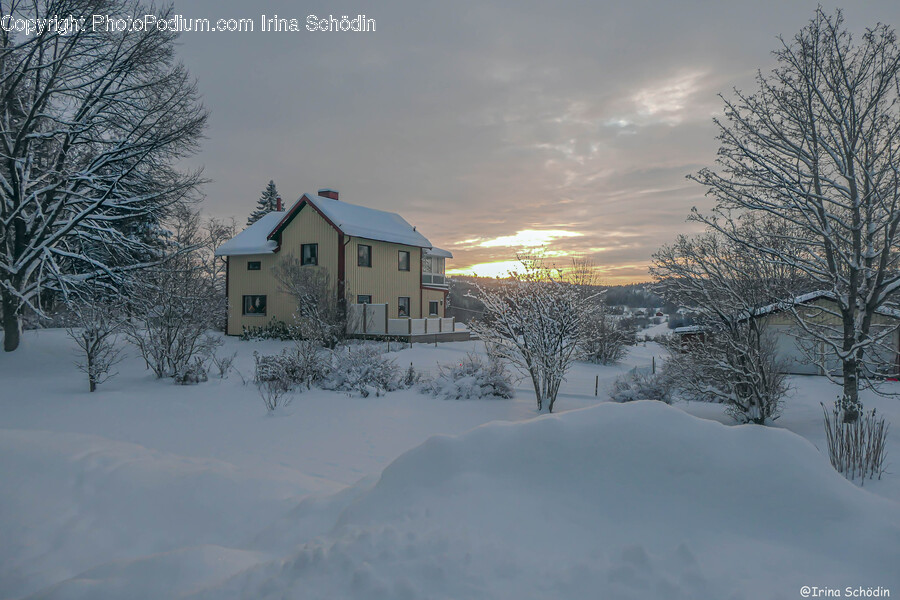 Nature, Outdoors, Weather, Blizzard, Snow
