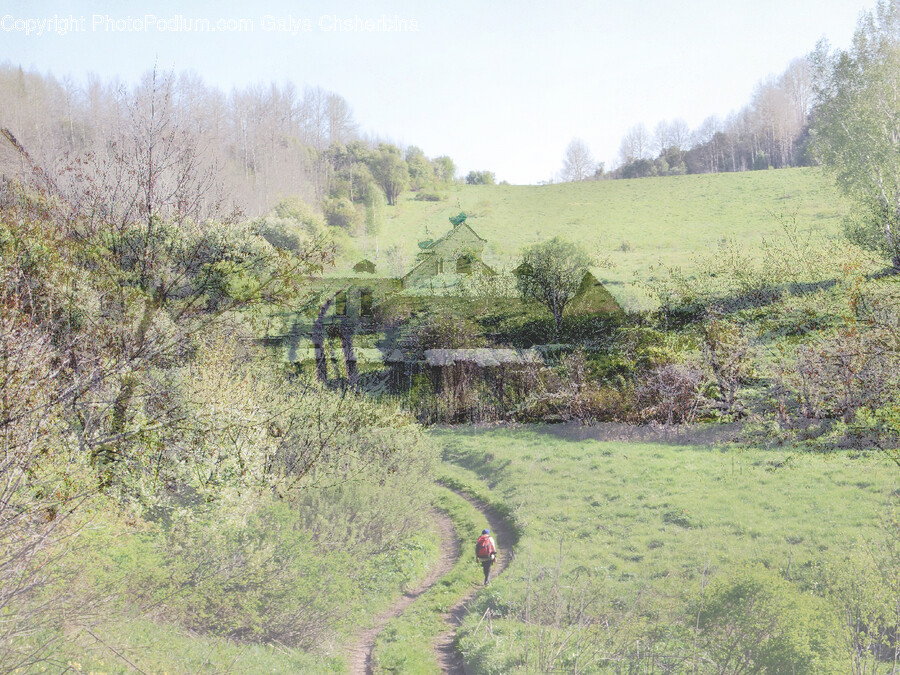 Nature, Outdoors, Field, Grassland, Countryside