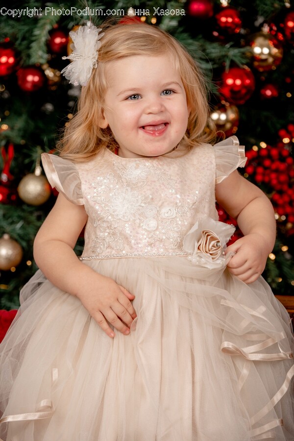 Clothing, Apparel, Plant, Tree, Wedding Gown