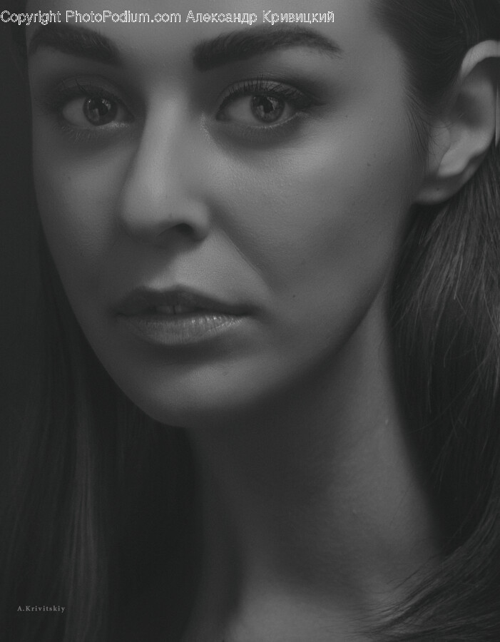 Face, Person, Human, Head, Portrait