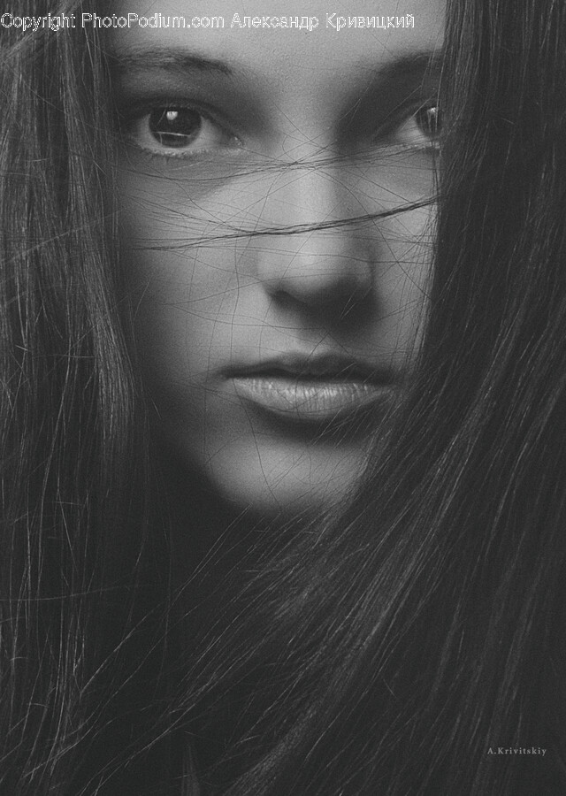 Face, Person, Human, Head, Portrait