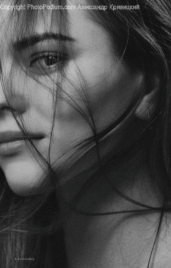 Face, Person, Human, Head, Portrait