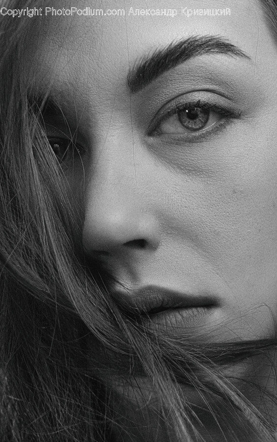 Face, Person, Human, Head, Portrait