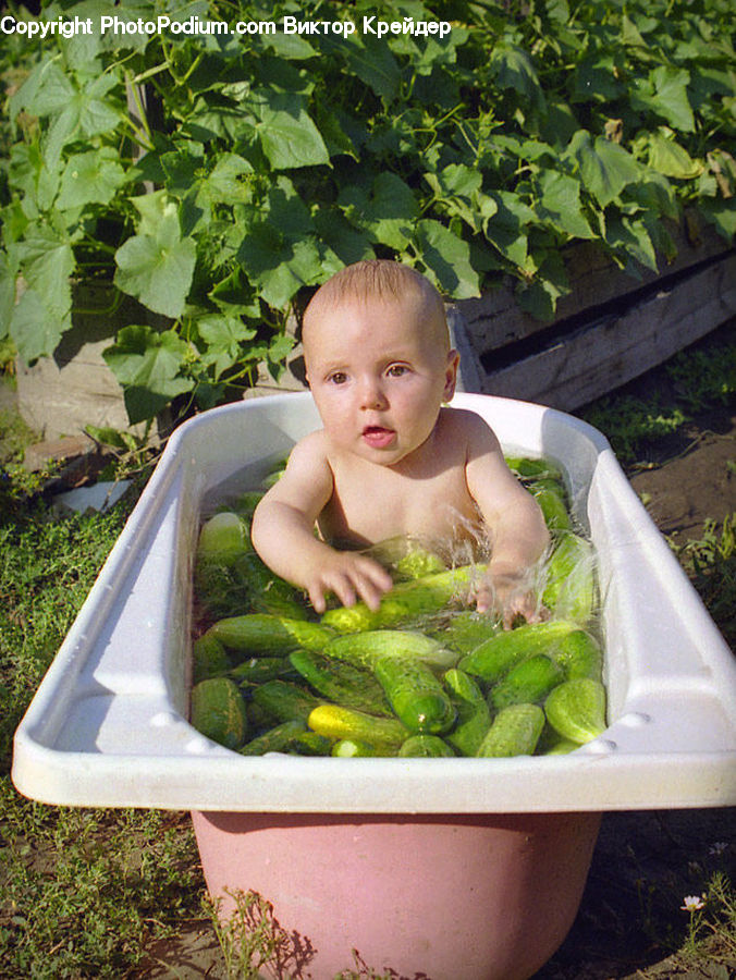 People, Person, Human, Cucumber, Vegetable, Pea, Produce