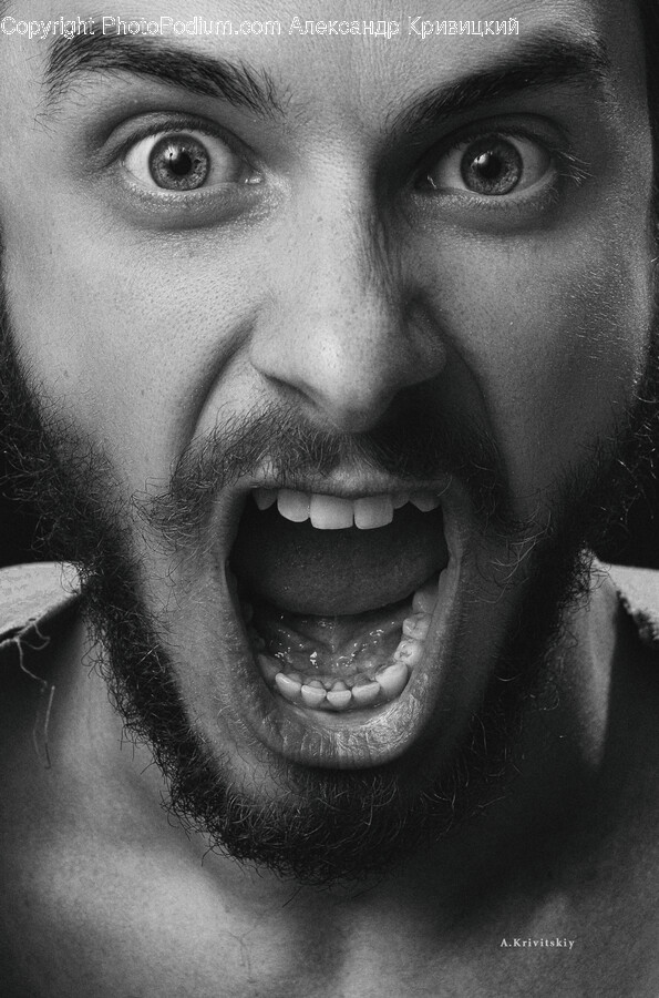 Face, Person, Human, Teeth, Mouth