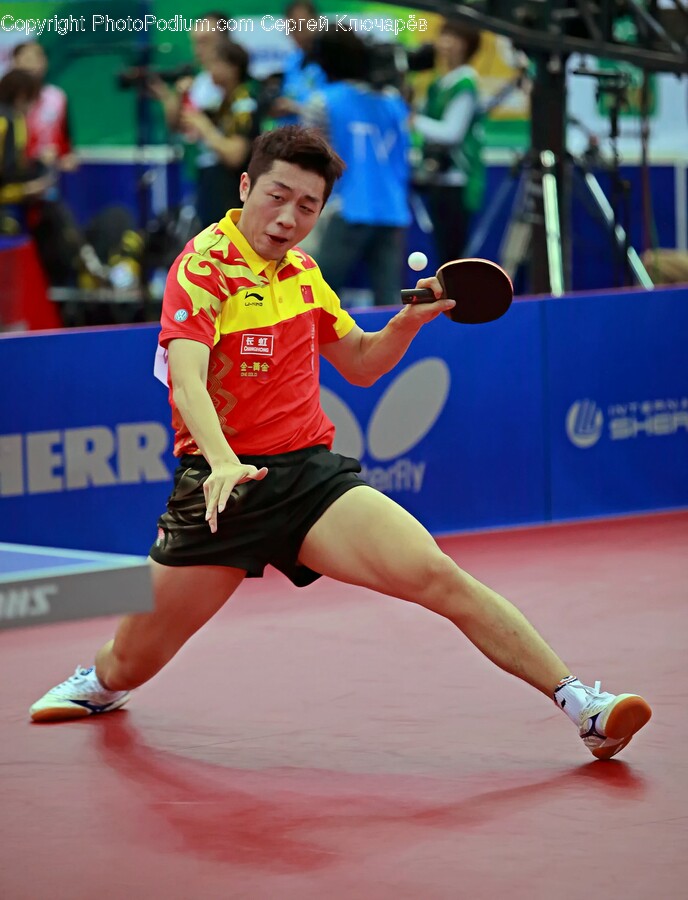 Person, Human, Sport, Sports, Ping Pong