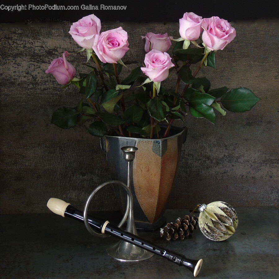 Plant, Flower, Blossom, Rose, Flower Arrangement