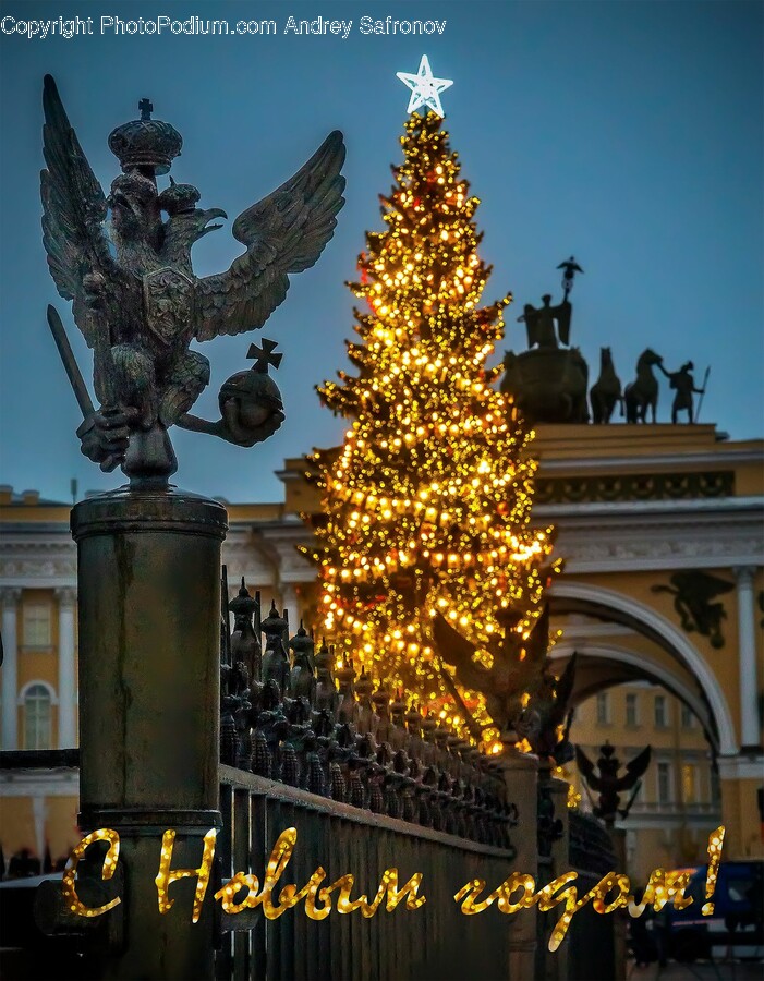 Tree, Plant, Christmas Tree, Ornament, Downtown