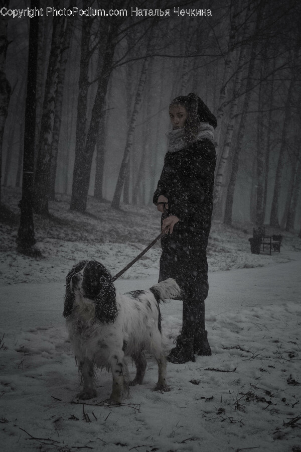 Person, Human, Nature, Dog, Canine