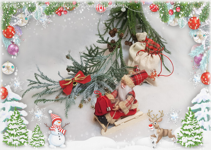 Tree, Plant, Ornament, Outdoors, Person