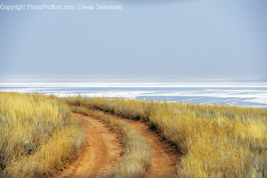 Gravel, Dirt Road, Road, Grass, Plant